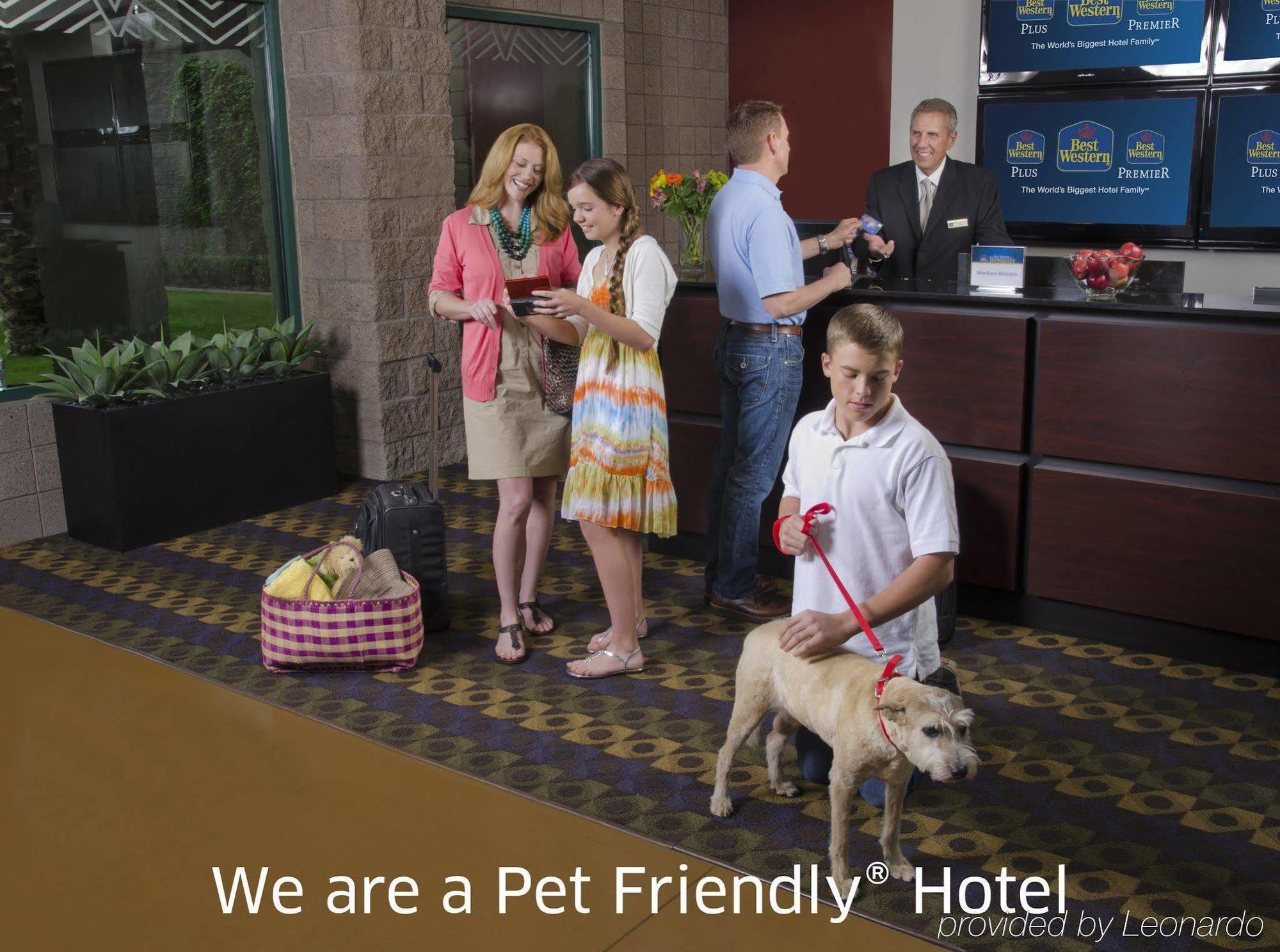 Best Western Plus Waltham Boston Εξωτερικό φωτογραφία